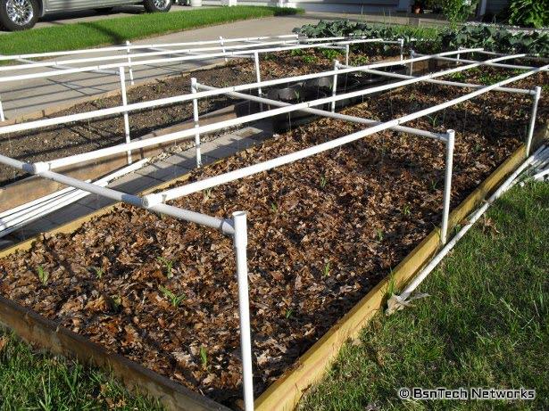 Front Garden Mulched with Leaves