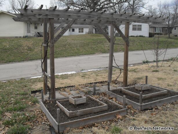 Grape Arbor