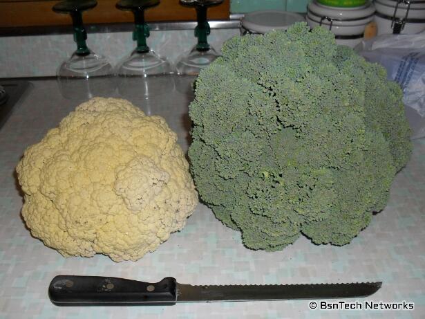 Snow Crown Cauliflower & Premium Crop Broccoli