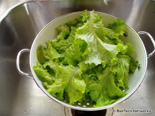 Lettuce Pickings