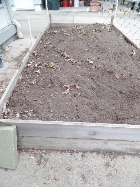 Lettuce Garden Bed