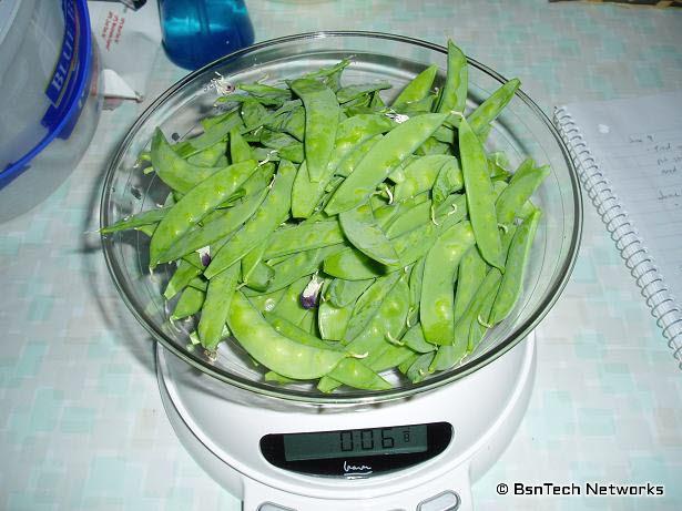 Second Pea Harvest