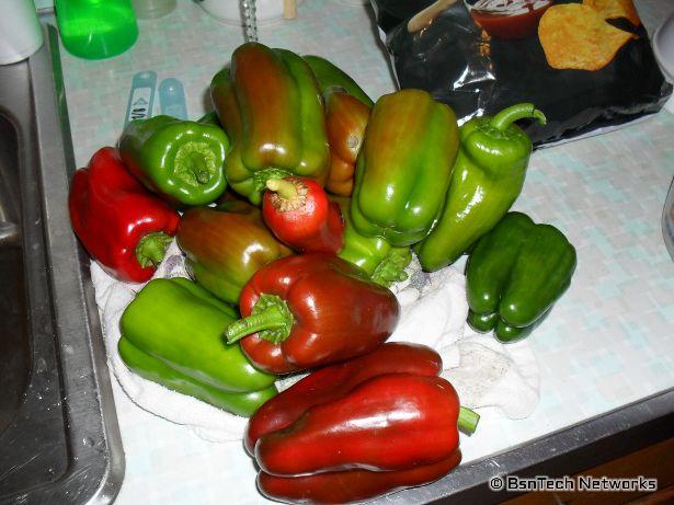 California Wonder Peppers