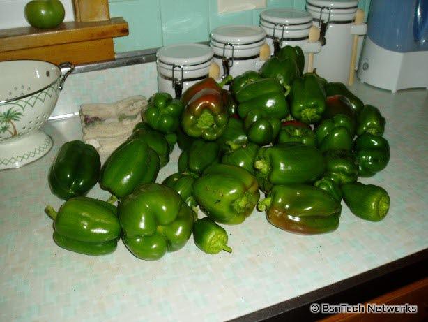 Peppers