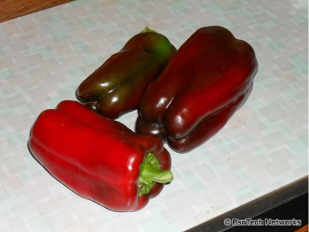 California Wonder Peppers