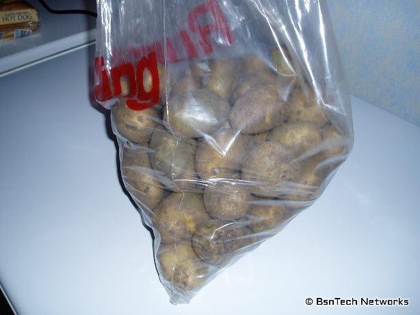 Kennebec Seed Potatoes
