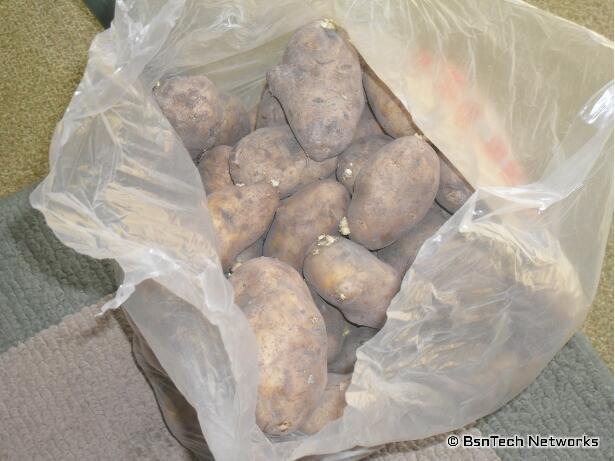 Kennebec Potatoes