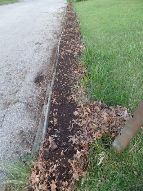 Potato Garden Bed