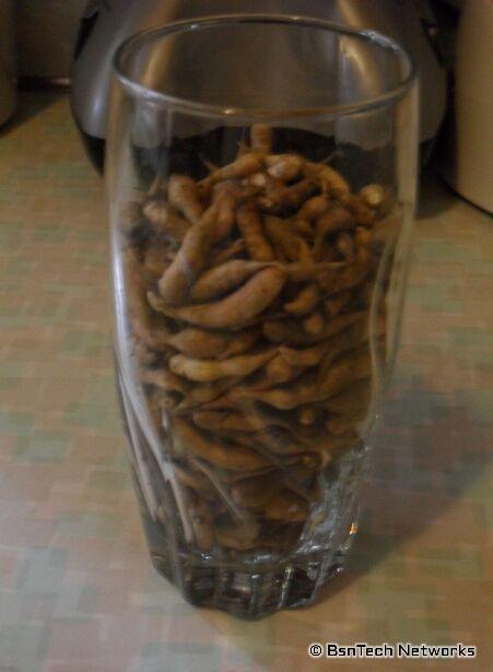 Radish Seed Pods