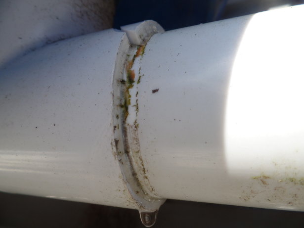 Rain Barrel Leaking