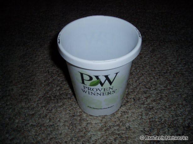 Seed Cup