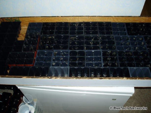 Seed Starting Containers