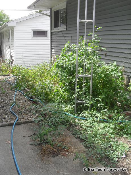 Side Garden