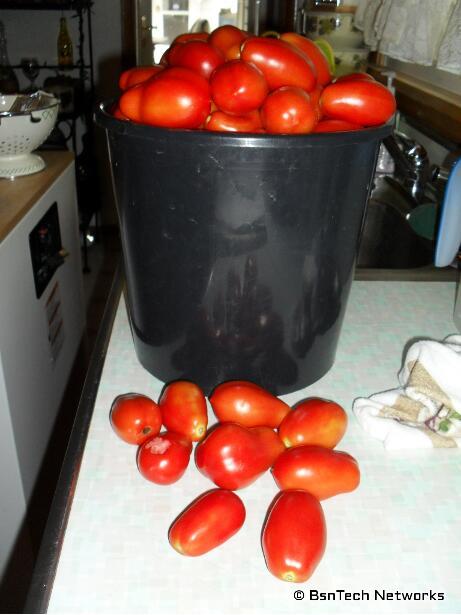 Tomatoes