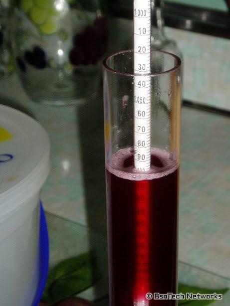 Wine Specific Gravity at 1.10